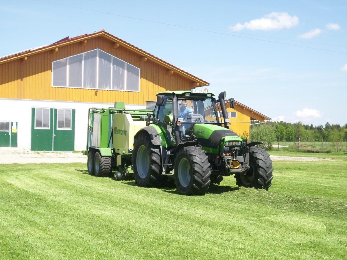 Drexl-Hof Lägenhet Schwifting Exteriör bild