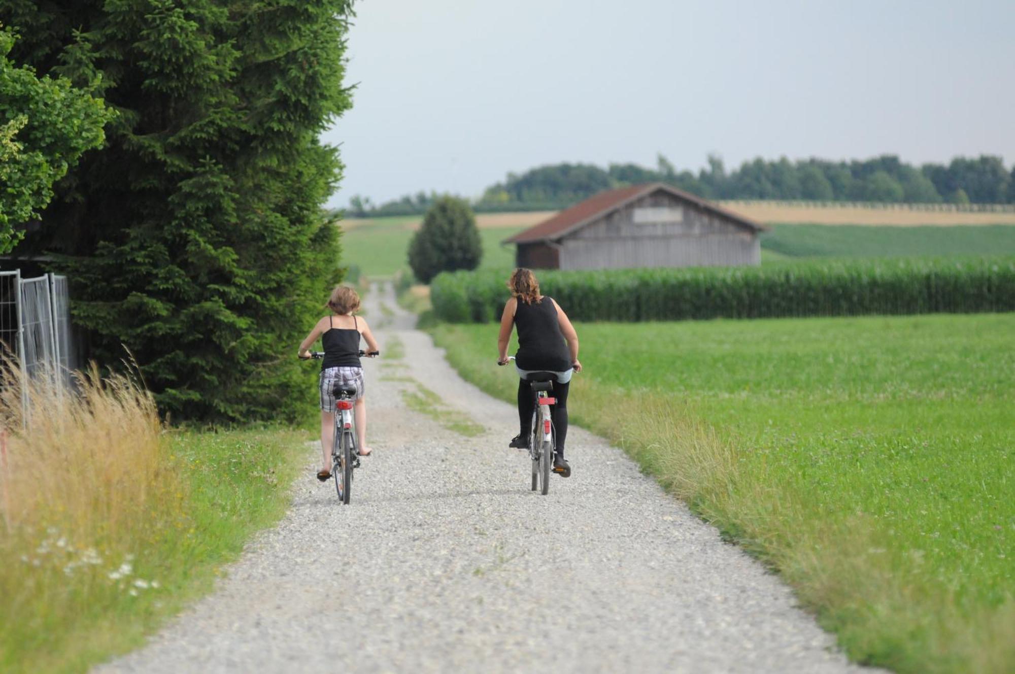 Drexl-Hof Lägenhet Schwifting Exteriör bild